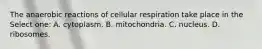 The anaerobic reactions of cellular respiration take place in the Select one: A. cytoplasm. B. mitochondria. C. nucleus. D. ribosomes.