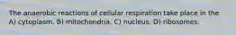 The anaerobic reactions of cellular respiration take place in the A) cytoplasm. B) mitochondria. C) nucleus. D) ribosomes.