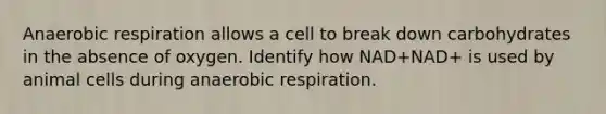 Anaerobic respiration allows a cell to break down carbohydrates in the absence of oxygen. Identify how NAD+NAD+ is used by animal cells during anaerobic respiration.