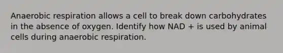 Anaerobic respiration allows a cell to break down carbohydrates in the absence of oxygen. Identify how NAD + is used by animal cells during anaerobic respiration.