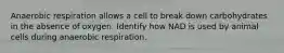 Anaerobic respiration allows a cell to break down carbohydrates in the absence of oxygen. Identify how NAD is used by animal cells during anaerobic respiration.