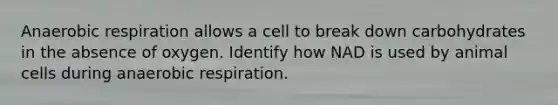 An<a href='https://www.questionai.com/knowledge/kyxGdbadrV-aerobic-respiration' class='anchor-knowledge'>aerobic respiration</a> allows a cell to break down carbohydrates in the absence of oxygen. Identify how NAD is used by animal cells during anaerobic respiration.