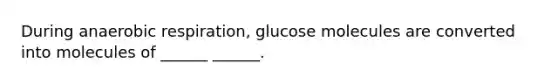 During anaerobic respiration, glucose molecules are converted into molecules of ______ ______.