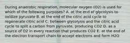 During anaerobic respiration, molecular oxygen (O2) is used for which of the following purposes? A. at the end of glycolysis to oxidize pyruvate B. at the end of the citric acid cycle to regenerate citric acid C. between glycolysis and the citric acid cycle to split a carbon from pyruvate, producing CO2 D. as a source of O2 in every reaction that produces CO2 E. at the end of the electron transport chain to accept electrons and form H2O