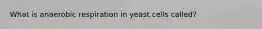 What is anaerobic respiration in yeast cells called?