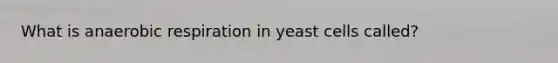 What is anaerobic respiration in yeast cells called?