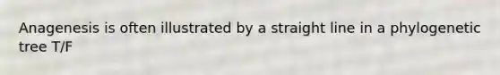 Anagenesis is often illustrated by a straight line in a phylogenetic tree T/F