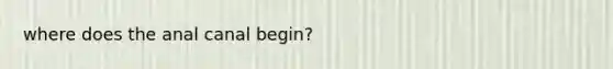 where does the anal canal begin?