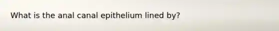 What is the anal canal epithelium lined by?