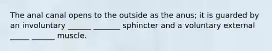 The anal canal opens to the outside as the anus; it is guarded by an involuntary ______ _______ sphincter and a voluntary external _____ ______ muscle.