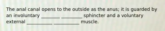 The anal canal opens to the outside as the anus; it is guarded by an involuntary ________ _________ sphincter and a voluntary external ___________ ___________ muscle.