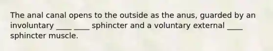 The anal canal opens to the outside as the anus, guarded by an involuntary ____ ____ sphincter and a voluntary external ____ sphincter muscle.