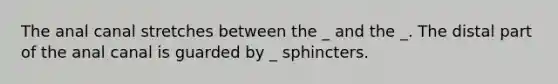 The anal canal stretches between the _ and the _. The distal part of the anal canal is guarded by _ sphincters.