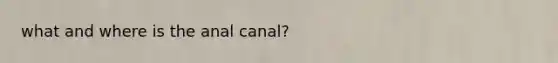 what and where is the anal canal?