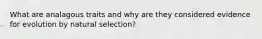 What are analagous traits and why are they considered evidence for evolution by natural selection?