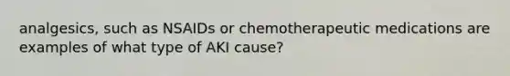 analgesics, such as NSAIDs or chemotherapeutic medications are examples of what type of AKI cause?