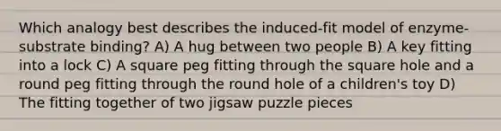 Which analogy best describes the induced-fit model of enzyme-substrate binding? A) A hug between two people B) A key fitting into a lock C) A square peg fitting through the square hole and a round peg fitting through the round hole of a children's toy D) The fitting together of two jigsaw puzzle pieces