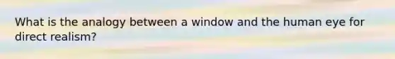 What is the analogy between a window and the human eye for direct realism?