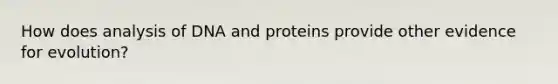 How does analysis of DNA and proteins provide other evidence for evolution?