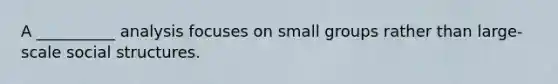 ​A __________ analysis focuses on small groups rather than large-scale social structures.