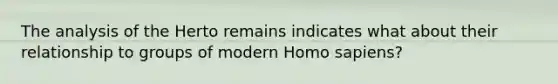 The analysis of the Herto remains indicates what about their relationship to groups of modern Homo sapiens?