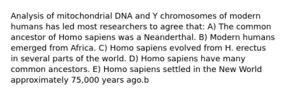 Analysis of mitochondrial DNA and Y chromosomes of modern humans has led most researchers to agree that: A) The common ancestor of Homo sapiens was a Neanderthal. B) Modern humans emerged from Africa. C) Homo sapiens evolved from H. erectus in several parts of the world. D) Homo sapiens have many common ancestors. E) Homo sapiens settled in the New World approximately 75,000 years ago.b