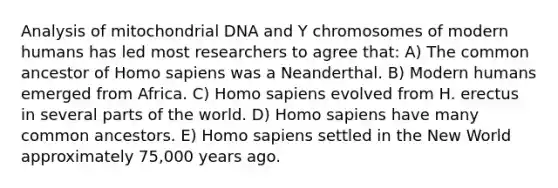 Analysis of mitochondrial DNA and Y chromosomes of modern humans has led most researchers to agree that: A) The common ancestor of Homo sapiens was a Neanderthal. B) Modern humans emerged from Africa. C) Homo sapiens evolved from H. erectus in several parts of the world. D) Homo sapiens have many common ancestors. E) Homo sapiens settled in the New World approximately 75,000 years ago.