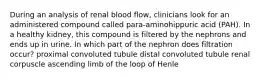 During an analysis of renal blood flow, clinicians look for an administered compound called para-aminohippuric acid (PAH). In a healthy kidney, this compound is filtered by the nephrons and ends up in urine. In which part of the nephron does filtration occur? proximal convoluted tubule distal convoluted tubule renal corpuscle ascending limb of the loop of Henle