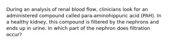 During an analysis of renal blood flow, clinicians look for an administered compound called para-aminohippuric acid (PAH). In a healthy kidney, this compound is filtered by the nephrons and ends up in urine. In which part of the nephron does filtration occur?