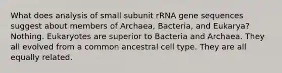 What does analysis of small subunit rRNA gene sequences suggest about members of Archaea, Bacteria, and Eukarya? Nothing. Eukaryotes are superior to Bacteria and Archaea. They all evolved from a common ancestral cell type. They are all equally related.