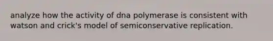 analyze how the activity of dna polymerase is consistent with watson and crick's model of semiconservative replication.