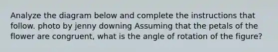 Analyze the diagram below and complete the instructions that follow. photo by jenny downing Assuming that the petals of the flower are congruent, what is the angle of rotation of the figure?