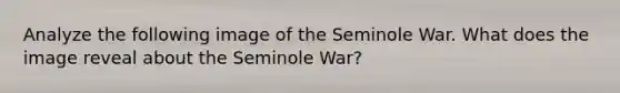 Analyze the following image of the Seminole War. What does the image reveal about the Seminole War?