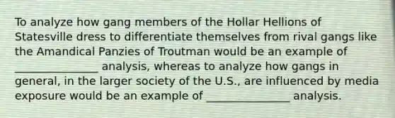 To analyze how gang members of the Hollar Hellions of Statesville dress to differentiate themselves from rival gangs like the Amandical Panzies of Troutman would be an example of _______________ analysis, whereas to analyze how gangs in general, in the larger society of the U.S., are influenced by media exposure would be an example of _______________ analysis.