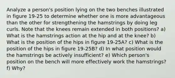 Analyze a person's position lying on the two benches illustrated in figure 19-25 to determine whether one is more advantageous than the other for strengthening the hamstrings by doing leg curls. Note that the knees remain extended in both positions? a) What is the hamstrings action at the hip and at the knee? b) What is the position of the hips in figure 19-25A? c) What is the position of the hips in figure 19-25B? d) In what position would the hamstrings be actively insufficient? e) Which person's position on the bench will more effectively work the hamstrings? f) Why?