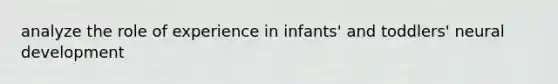 analyze the role of experience in infants' and toddlers' neural development