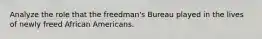 Analyze the role that the freedman's Bureau played in the lives of newly freed African Americans.