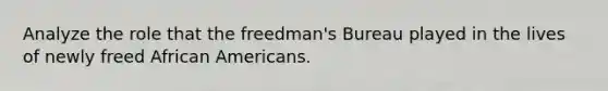 Analyze the role that the freedman's Bureau played in the lives of newly freed African Americans.