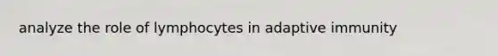 analyze the role of lymphocytes in adaptive immunity