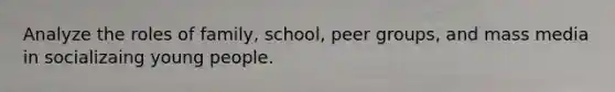 Analyze the roles of family, school, peer groups, and mass media in socializaing young people.