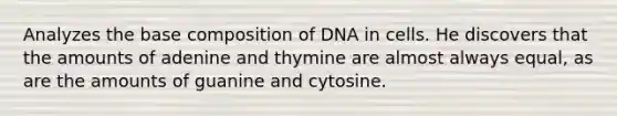 Analyzes the base composition of DNA in cells. He discovers that the amounts of adenine and thymine are almost always equal, as are the amounts of guanine and cytosine.