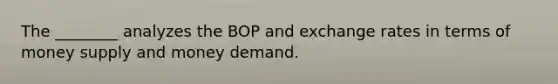 The ________ analyzes the BOP and exchange rates in terms of money supply and money demand.