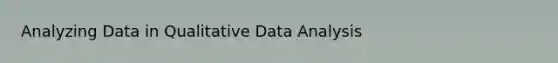 Analyzing Data in Qualitative Data Analysis