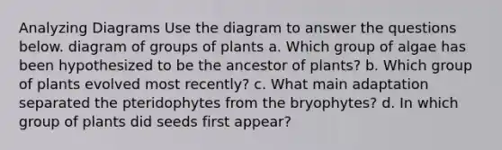 Analyzing Diagrams Use the diagram to answer the questions below. diagram of groups of plants a. Which group of algae has been hypothesized to be the ancestor of plants? b. Which group of plants evolved most recently? c. What main adaptation separated the pteridophytes from the bryophytes? d. In which group of plants did seeds first appear?