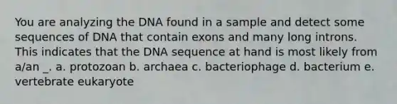 You are analyzing the DNA found in a sample and detect some sequences of DNA that contain exons and many long introns. This indicates that the DNA sequence at hand is most likely from a/an _. a. protozoan b. archaea c. bacteriophage d. bacterium e. vertebrate eukaryote