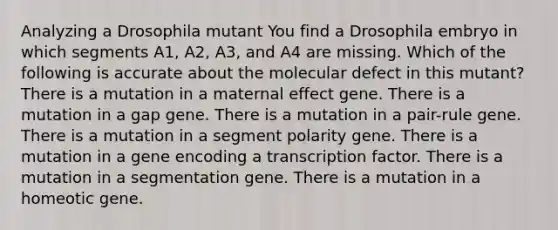 Analyzing a Drosophila mutant You find a Drosophila embryo in which segments A1, A2, A3, and A4 are missing. Which of the following is accurate about the molecular defect in this mutant? There is a mutation in a maternal effect gene. There is a mutation in a gap gene. There is a mutation in a pair-rule gene. There is a mutation in a segment polarity gene. There is a mutation in a gene encoding a transcription factor. There is a mutation in a segmentation gene. There is a mutation in a homeotic gene.