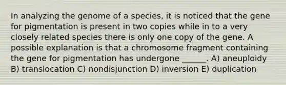 In analyzing the genome of a species, it is noticed that the gene for pigmentation is present in two copies while in to a very closely related species there is only one copy of the gene. A possible explanation is that a chromosome fragment containing the gene for pigmentation has undergone ______. A) aneuploidy B) translocation C) nondisjunction D) inversion E) duplication