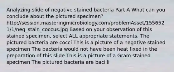 Analyzing slide of negative stained bacteria Part A What can you conclude about the pictured specimen? http://session.masteringmicrobiology.com/problemAsset/1556521/1/neg_stain_coccus.jpg Based on your observation of this stained specimen, select ALL appropriate statements. The pictured bacteria are cocci This is a picture of a negative stained specimen The bacteria would not have been heat fixed in the preparation of this slide This is a picture of a Gram stained specimen The pictured bacteria are bacilli