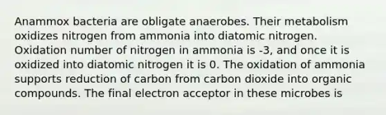 Anammox bacteria are obligate anaerobes. Their metabolism oxidizes nitrogen from ammonia into diatomic nitrogen. Oxidation number of nitrogen in ammonia is -3, and once it is oxidized into diatomic nitrogen it is 0. The oxidation of ammonia supports reduction of carbon from carbon dioxide into organic compounds. The final electron acceptor in these microbes is