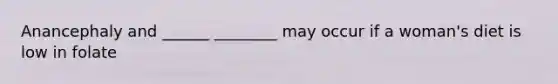 Anancephaly and ______ ________ may occur if a woman's diet is low in folate